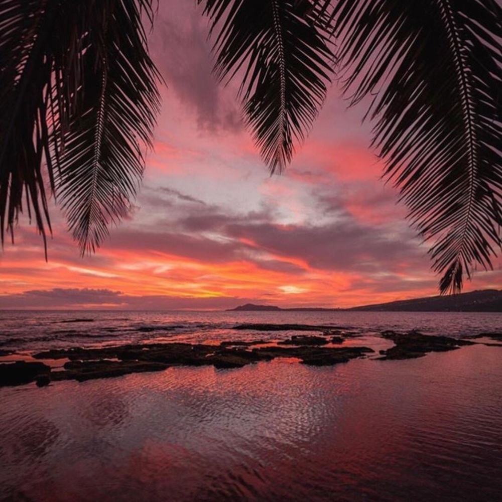 Meet your Posher, Jen